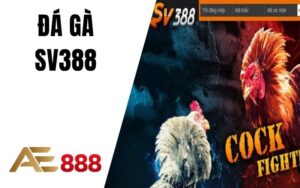 Đá Gà SV388