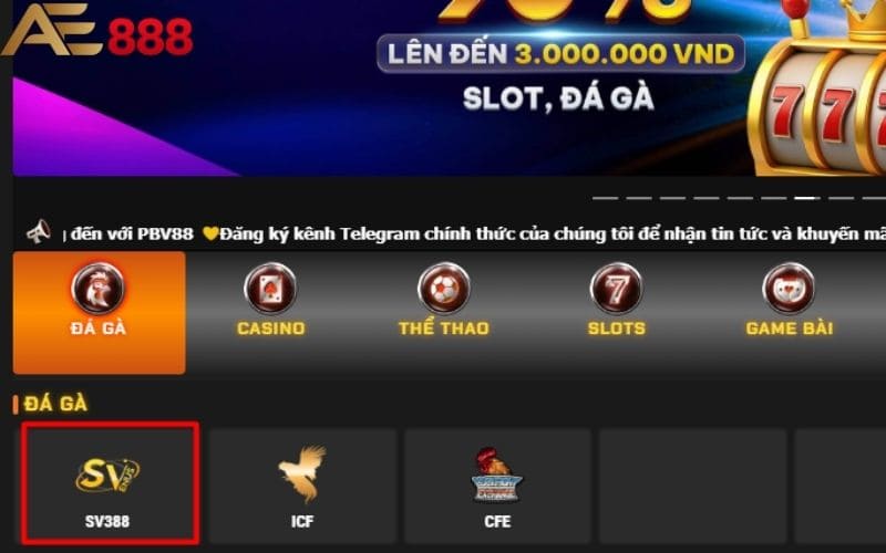 Cách tham gia đá gà SV388 tại nhà cái AE888