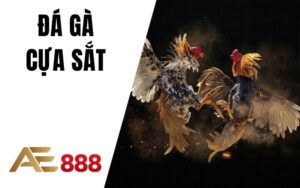 Đá Gà Cựa Sắt AE888
